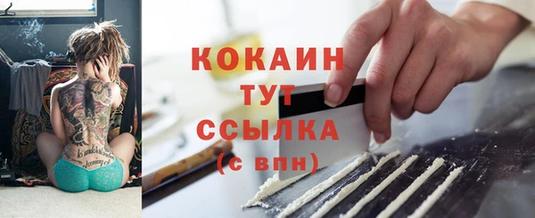 стаф Баксан