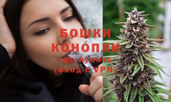 МДПВ Елизово