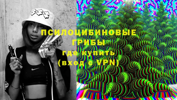 стаф Баксан