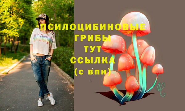 PSILOCYBIN Балабаново