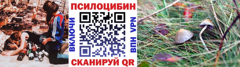 Псилоцибиновые грибы ЛСД  где купить наркоту  Белая Калитва 